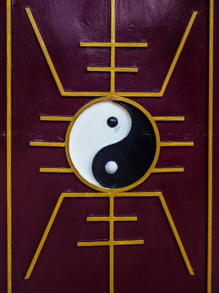 feng shui plants