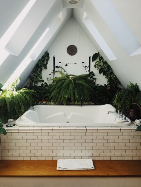 Decorate Your Bathroom with Plants